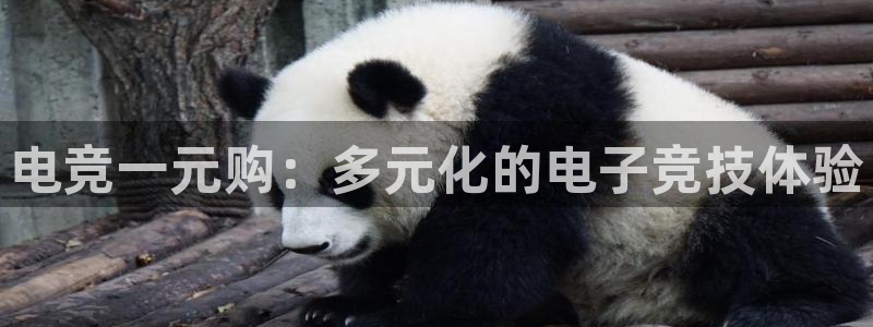 ob电竞官网入口