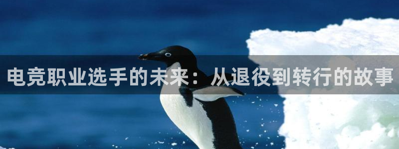 ob电竞官网：电竞职业选手的未来：从退役到转行的故事