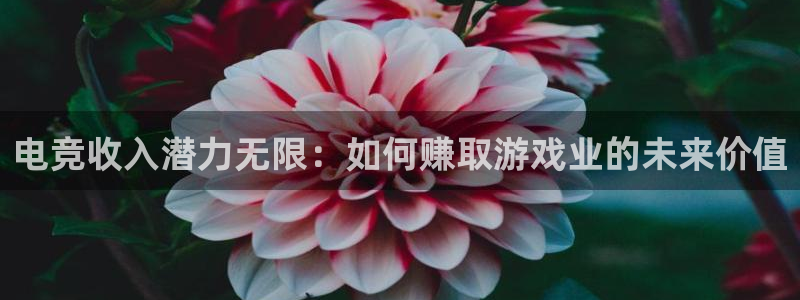 ob电竞网站：电竞收入潜力无限：如何赚取游戏业的未来价值