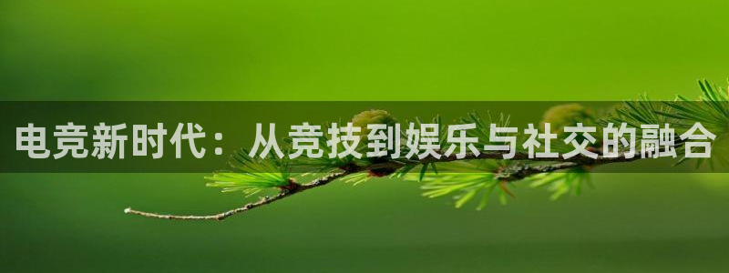 ob电竞网站：电竞新时代：从竞技到娱乐与社交的融合