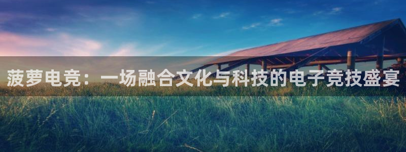 ob电竞官网：菠萝电竞：一场融合文化与科技的电子竞技盛宴
