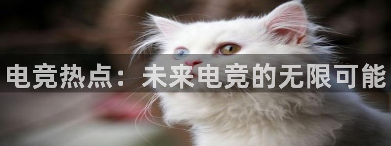 ob电竞网站：电竞热点：未来电竞的无限可能