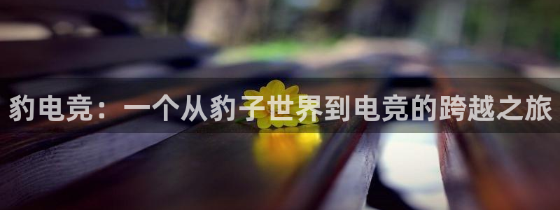 ob电竞网站