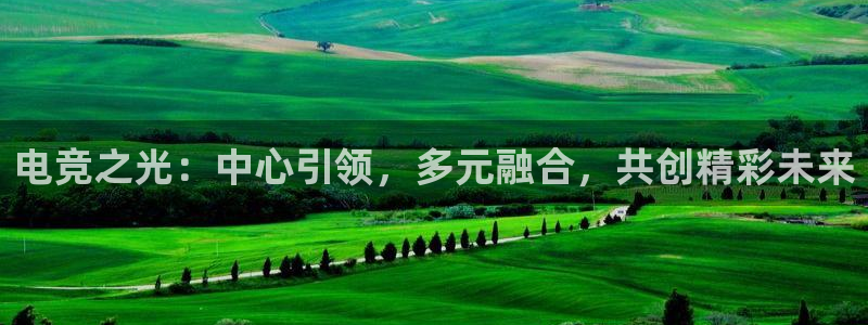 ob电竞网站：电竞之光：中心引领，多元融合，共创精彩未来