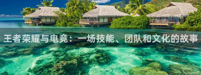 ob电竞官网入口：王者荣耀与电竞：一场技能、团队和文化的故事
