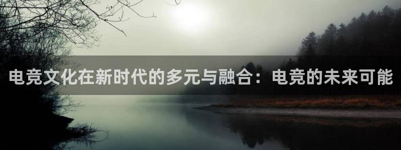 ob电竞平台：电竞文化在新时代的多元与融合：电竞的未来可能
