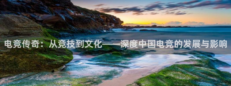 ob电竞网站：电竞传奇：从竞技到文化——深度中国电竞的发展与影响