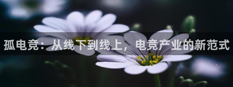 ob电竞官网入口：孤电竞：从线下到线上，电竞产业的新范式