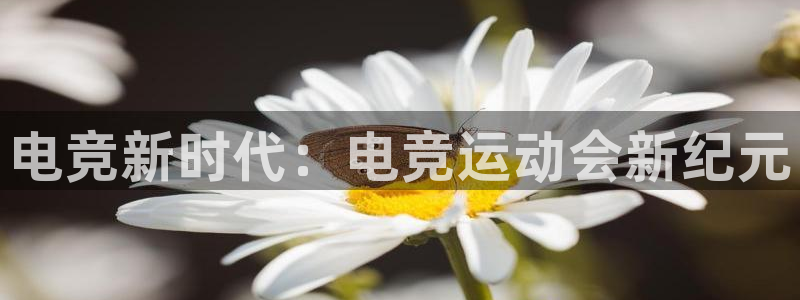 ob电竞俱乐部：电竞新时代：电竞运动会新纪元