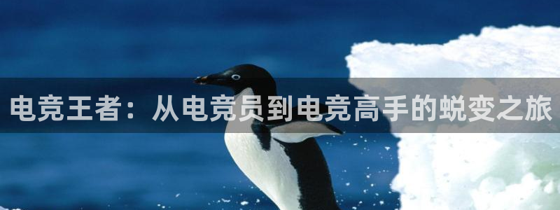 ob电竞官网入口：电竞王者：从电竞员到电竞高手的蜕变之旅