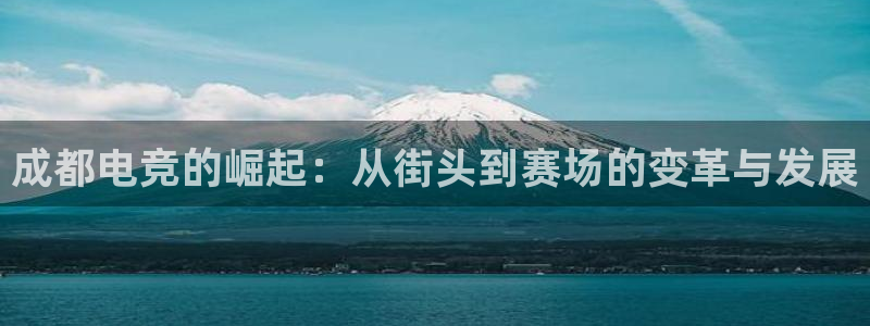 ob电竞官网：成都电竞的崛起：从街头到赛场的变革与发展