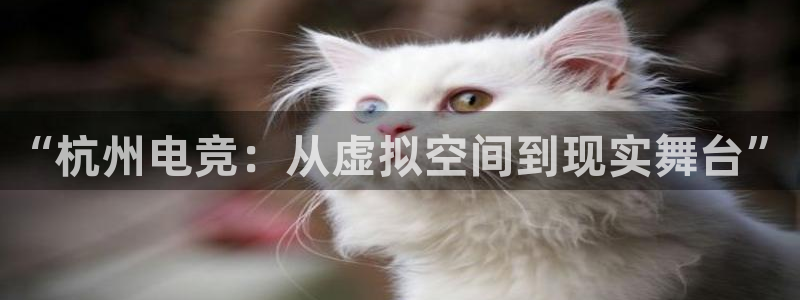 ob电竞俱乐部：“杭州电竞：从虚拟空间到现实舞台”
